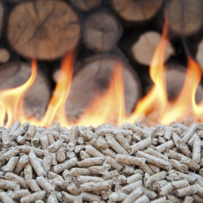 Energija biomase
